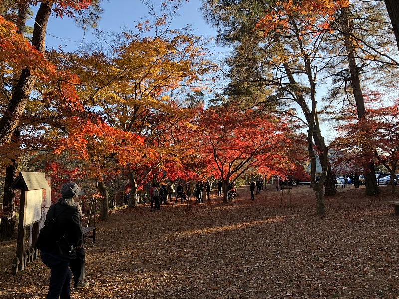 紅葉